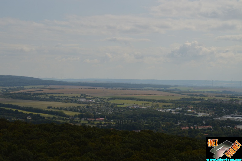 Haldenbesteigung Höhe Linde 08.2014