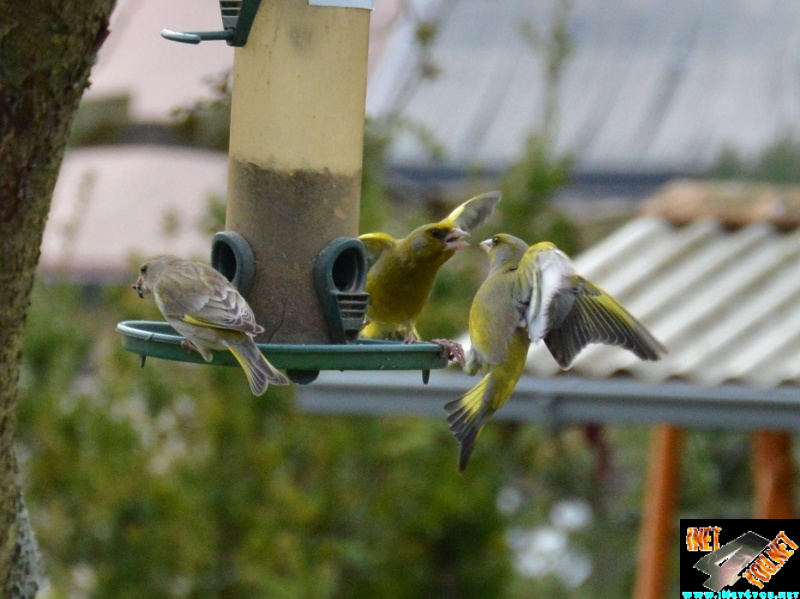 Artern im Jahr 2015_10