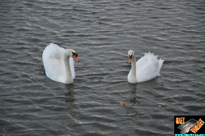 Artern im Jahr 2015_50