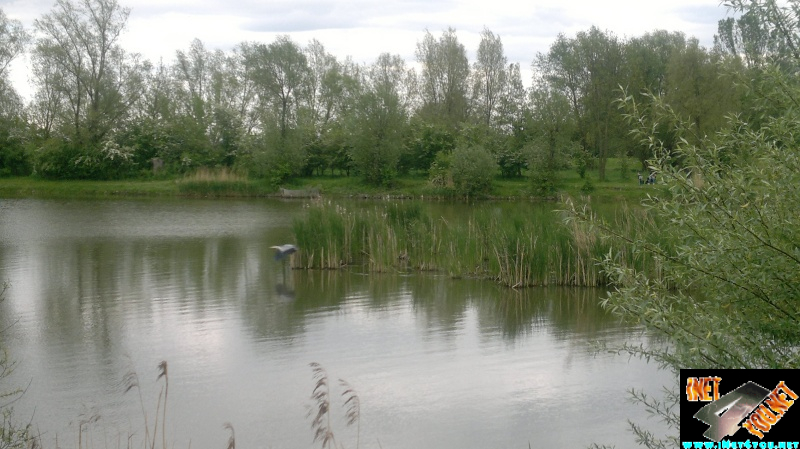Unstrutbrücke Mai 2012