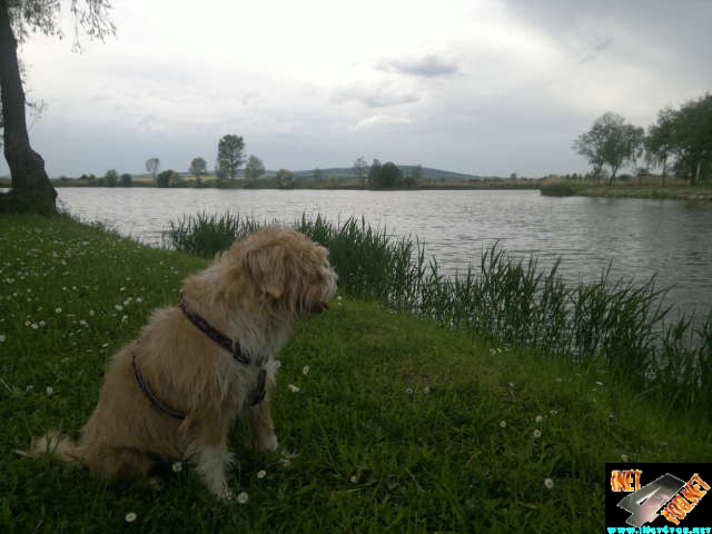Unstrutbrücke Mai 2012